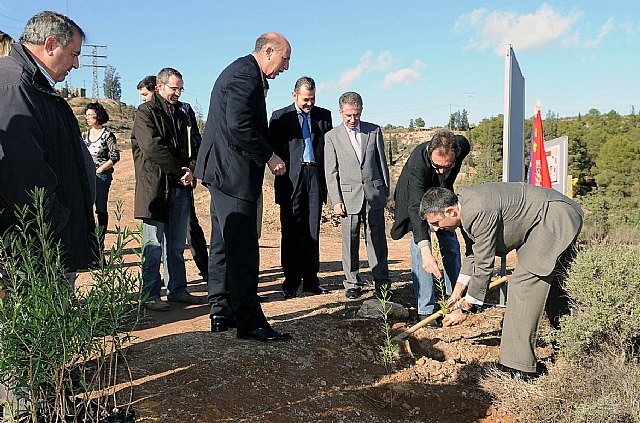 La Universidad de Murcia crea el Parque Norte en el campus de Espinardo. - 4, Foto 4