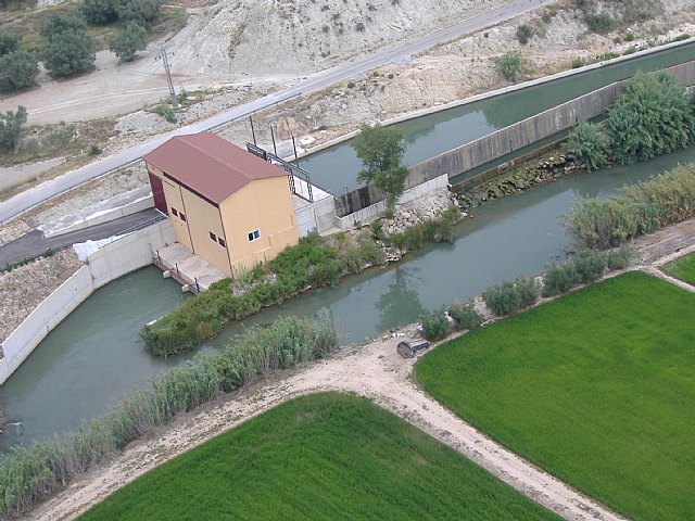 La CHS y el ayuntamiento de Calasparra limpian el río y crean un vivero para su reforestación - 2, Foto 2