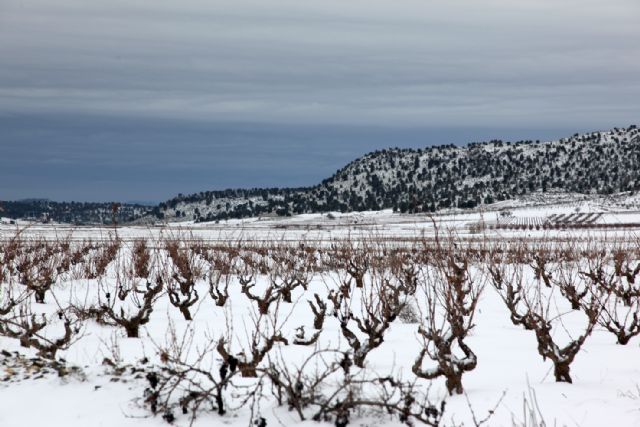 Incidencias por temporal de fro y nieve en Lorca (actualizado a las 18:20 h) - 2