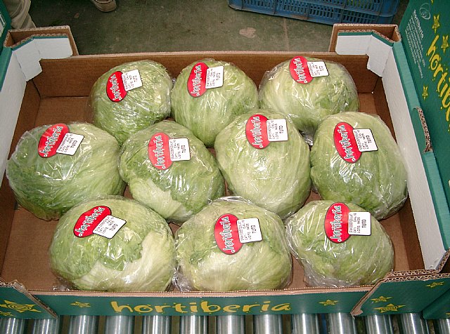 El Grupo Hortiberia apuesta por seguir con su “trayectoria ascendente” de conquistar nuevos mercados durante 2010 - 1, Foto 1