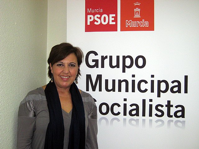 El Grupo Socialista confía en que 2010 sea un año en el que se genere empleo y riqueza - 1, Foto 1