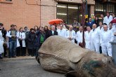 La Universidad de Murcia disecciona una elefanta muerta para las prácticas de los alumnos