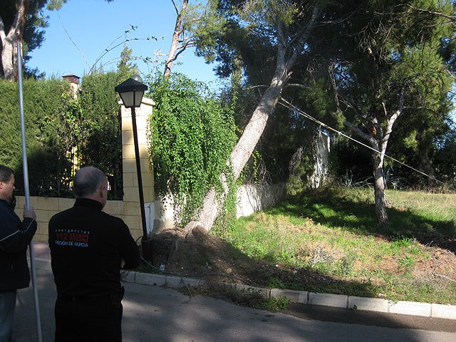 Voluntarios de Protección Civil y agentes de la Policía Local intervienen en más de una decena de actuaciones provocadas por el fuerte viento, Foto 1