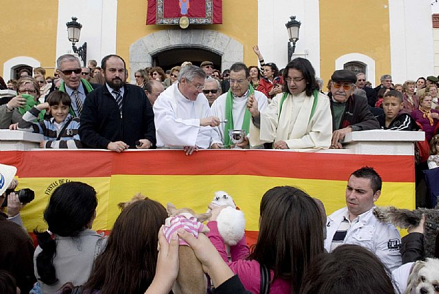 Las multitudinarias fiestas de San Antón ya están a punto - 1, Foto 1