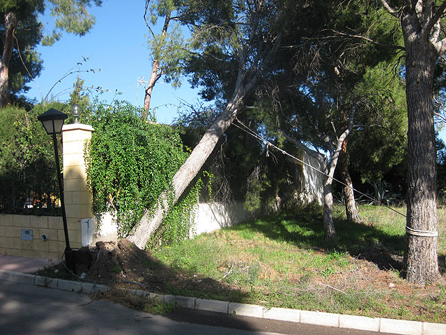 Voluntarios de Proteccin Civil y agentes de la Polica Local intervienen en ms de una decena de actuaciones provocadas por el fuerte viento - 6