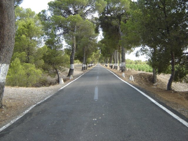 Ecologistas en Acción alerta sobre los da&ntilde;os que provocará el ensanchamiento de la comarcal Cieza-Mula sobre la Sierra del Oro - 2, Foto 2