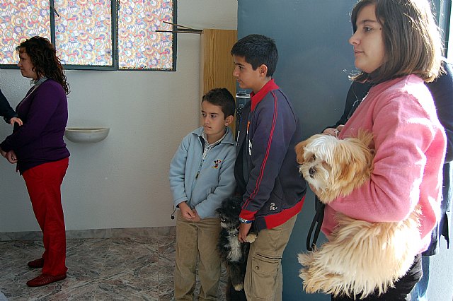 Los vecinos de Las Pullas celebran una misa en honor a San Antón - 2, Foto 2