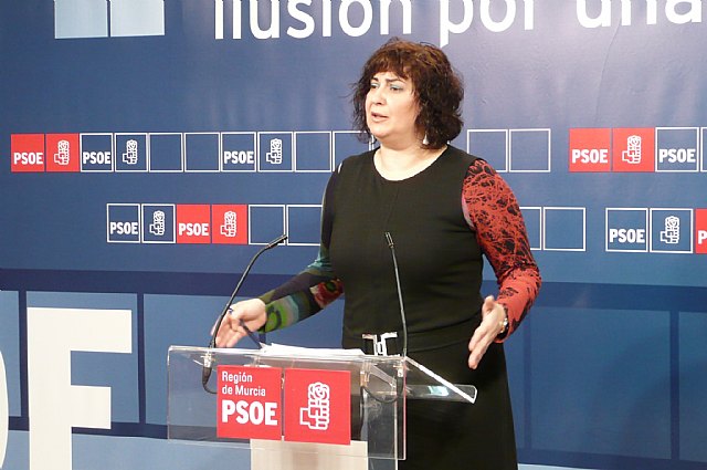 El PSOE anima a reclamar judicialmente a quienes no reciban las prestaciones por dependencia - 1, Foto 1