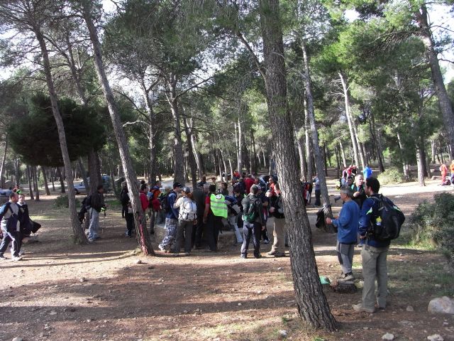 El pasado domingo 24 de enero, el club senderista de Totana celebr su ruta ms entrañable: la subida al Morron de Espuña - 5