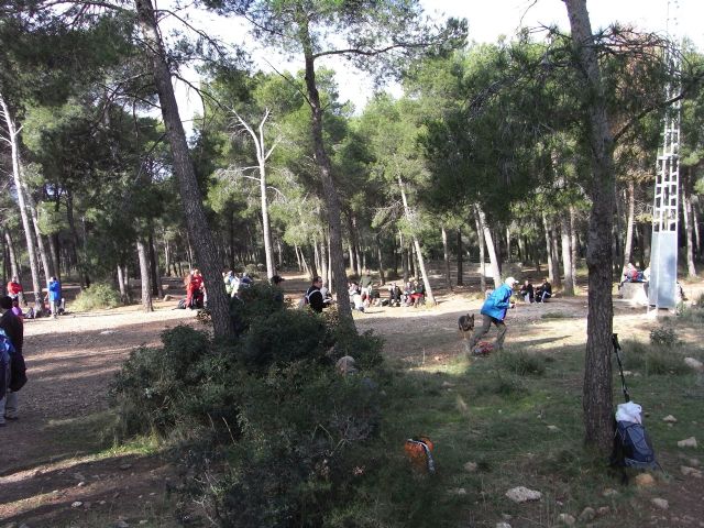 El pasado domingo 24 de enero, el club senderista de Totana celebr su ruta ms entrañable: la subida al Morron de Espuña - 8