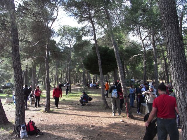 El pasado domingo 24 de enero, el club senderista de Totana celebr su ruta ms entrañable: la subida al Morron de Espuña - 9