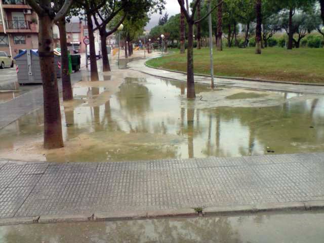 PSOE: Otro jardín del municipio abandonado a su suerte por el Ayuntamiento - 1, Foto 1