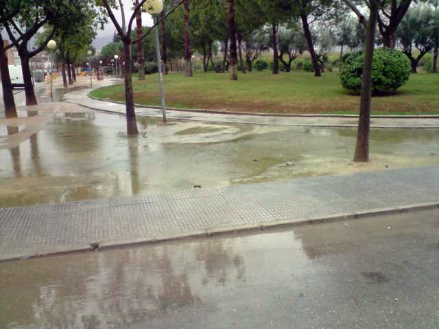 PSOE: Otro jardín del municipio abandonado a su suerte por el Ayuntamiento - 2, Foto 2