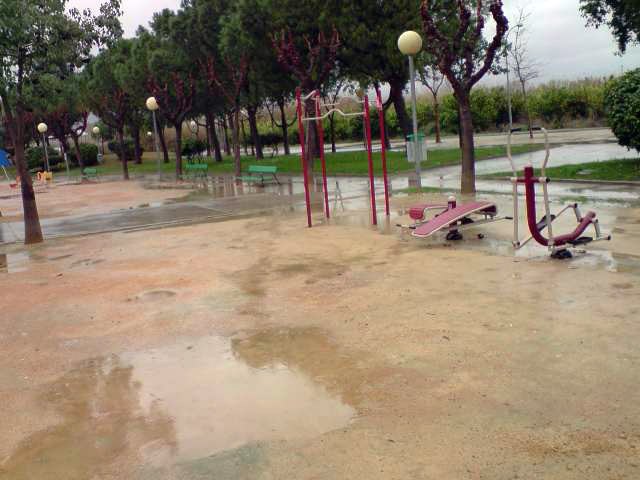 PSOE: Otro jardín del municipio abandonado a su suerte por el Ayuntamiento - 3, Foto 3