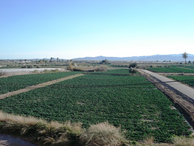 Para IU el viaje a la Feria de Berlín del Alcalde y los concejales solo es turismo y venta de humo sin consistencia, Foto 1