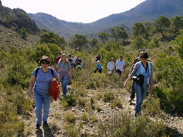 Más de 4.000 personas participaron en visitas guiadas por Jumilla en 2009 y cerca de 5.000 fueron las consultas sobre la ciudad - 1, Foto 1