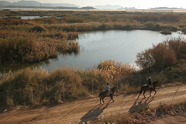 Los humedales de Las Moreras, a un paso de la categora ‘Ramsar’, Foto 1