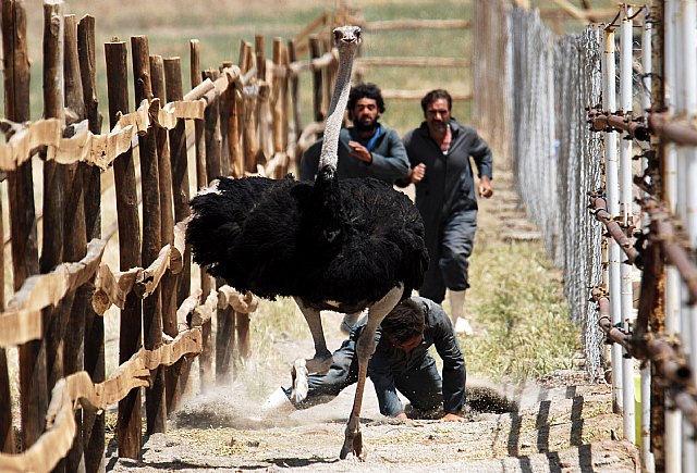 El nuevo cine coreano llega a Puertas de Castilla - 2, Foto 2