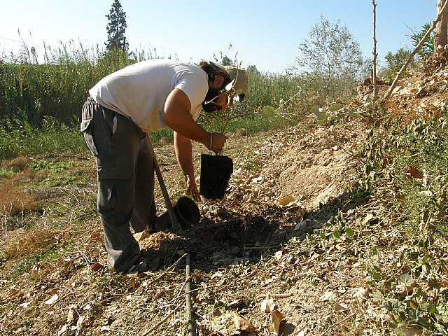 Más bosque de ribera para Molina del Segura - 1, Foto 1