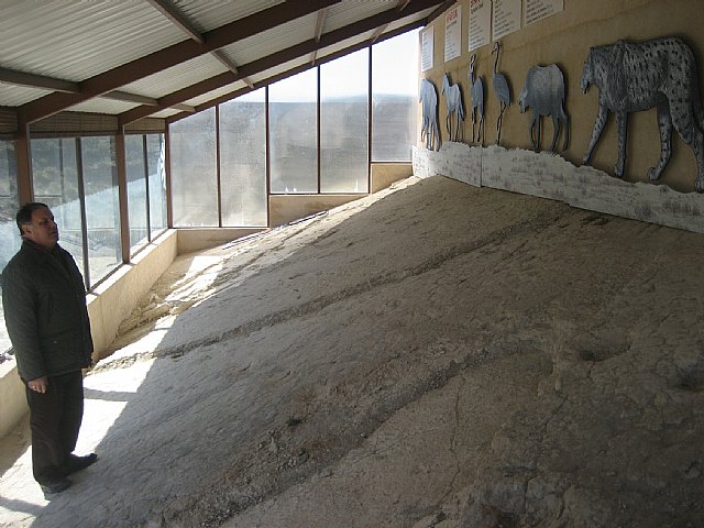 Agricultura invierte 60.000 euros en acondicionar un yacimiento del Mioceno Superior ubicado en la Sierra de las Cabras - 1, Foto 1