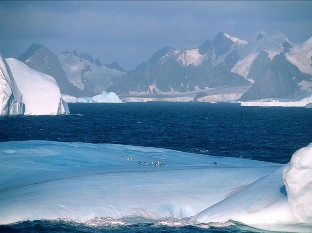Una exposición abre las puertas de la Antártida en el Parque Mediterráneo - 1, Foto 1