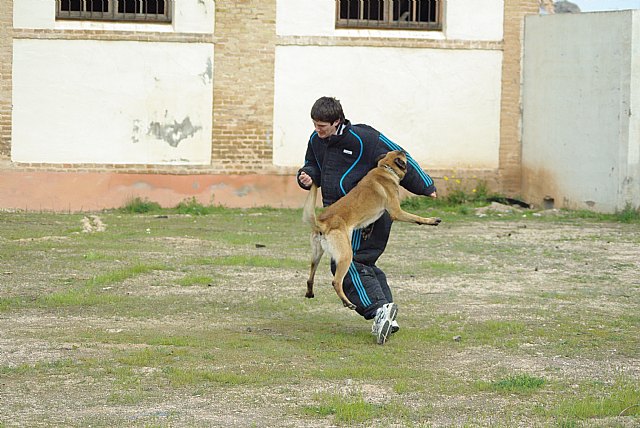 Entrega de diplomas del curso de técnicas de intervención policial para unidades caninas - 2, Foto 2