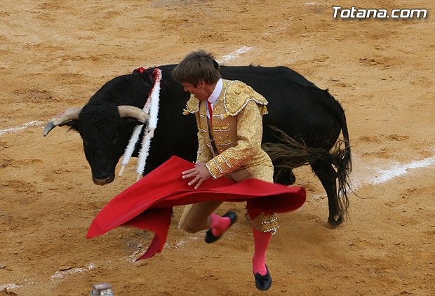 Afternoon of Bulls on Sunday in aid of the Spanish Association Against Cancer, Foto 1