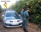 La Guardia Civil ha detenido a una persona in fraganti por la sustracción de gran cantidad de fruta