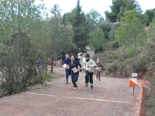 Más de 200 escolares participan en la jornada de orientación de Deporte Escolar, Foto 4