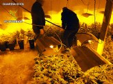 La Guardia Civil desmantela tres puntos de produccin y distribucin de marihuana en las comarcas de la Vega Media y Alta