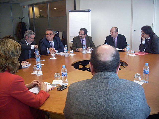 El Alcalde asiste a la reunión de la Comisión de la Sociedad de la Información y Nuevas Tecnologías de la Federación Española de Municipios y Provincias con la Comisión del Mercado de las Telecomunicaciones - 1, Foto 1