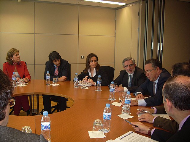 El Alcalde asiste a la reunión de la Comisión de la Sociedad de la Información y Nuevas Tecnologías de la Federación Española de Municipios y Provincias con la Comisión del Mercado de las Telecomunicaciones - 2, Foto 2
