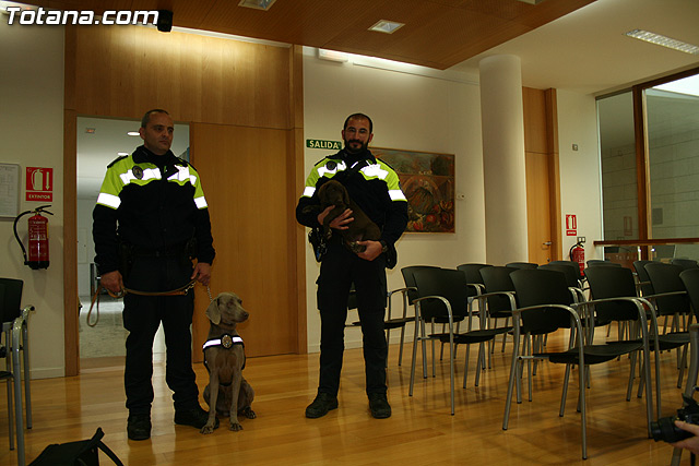 La unidad canina antidroga de la Polica Local de Totana se refuerza con la incorporacin de una hembra de labrador - 3