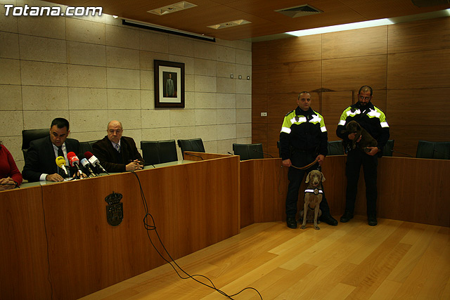 La unidad canina antidroga de la Polica Local de Totana se refuerza con la incorporacin de una hembra de labrador - 6