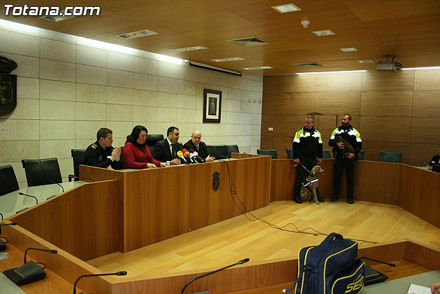 La unidad canina antidroga de la Polica Local de Totana se refuerza con la incorporacin de una hembra de labrador - 9