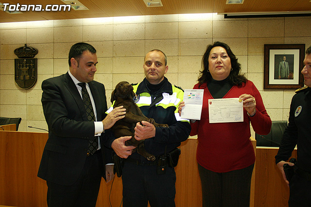 La unidad canina antidroga de la Polica Local de Totana se refuerza con la incorporacin de una hembra de labrador - 27