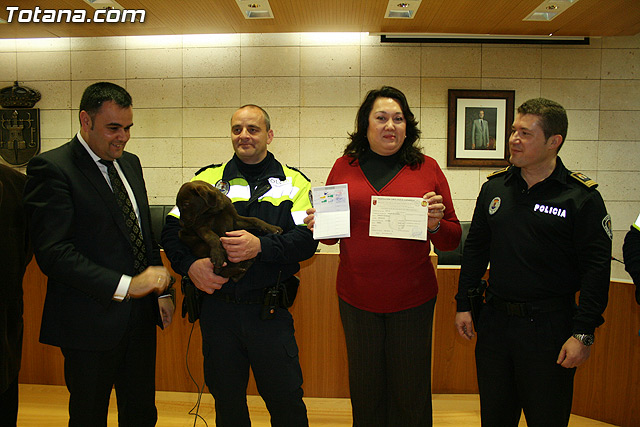 La unidad canina antidroga de la Polica Local de Totana se refuerza con la incorporacin de una hembra de labrador - 28