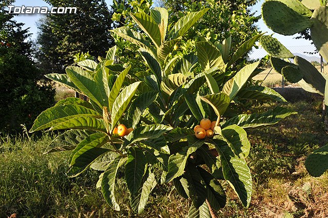 La Asociación de Vecinos de los Huertos se implica activamente en dar a conocer el Plan de rehabilitación de viviendas, Foto 1