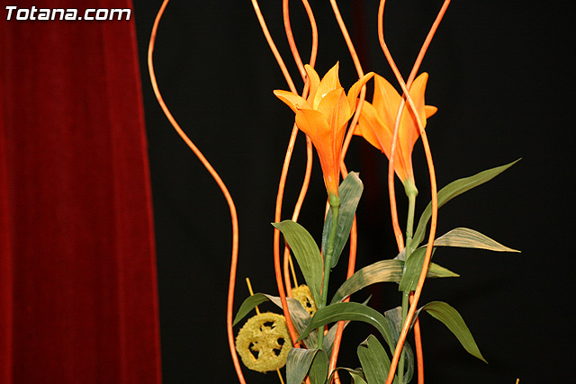 Cinco mujeres de Totana son homenajeadas en el Da Internacional de la Mujer por su trayectoria profesional y personal - 19