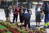 Entrega de plantas en la plaza de España con motivo del 8 de Marzo