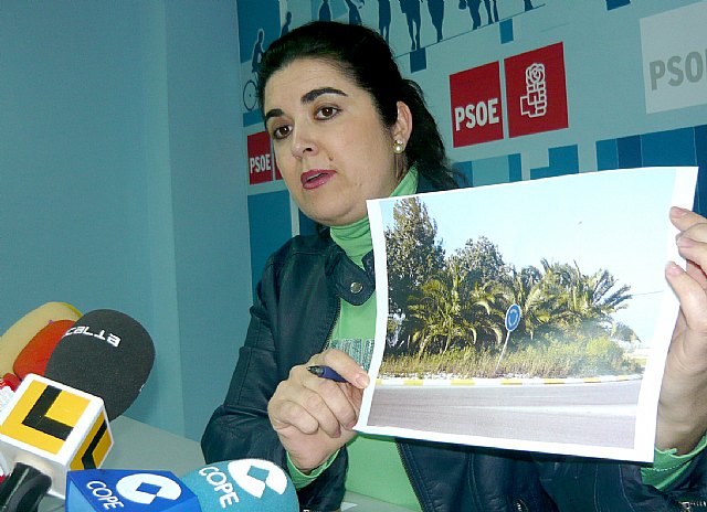 El PSOE exige que el local de los mayores de Purias, ampliado y remodelado con cargo al Plan E, sea puesto a disposición de los vecinos - 1, Foto 1