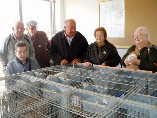 Los Mayores del Centro de día de El Algar visitan los Huertos de Ocio - 1, Foto 1