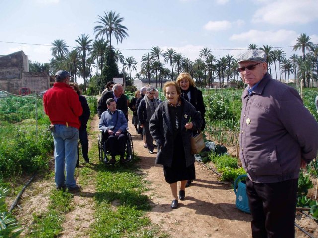 Los Mayores del Centro de día de El Algar visitan los Huertos de Ocio - 2, Foto 2