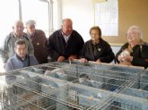 Los Mayores del Centro de da de El Algar visitan los Huertos de Ocio