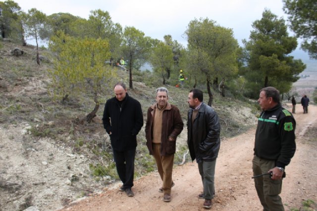 Cerdá  visita los trabajos de regeneración de la zona  incendiada de Moratalla y los embalses de regulación de las zonas regables - 1, Foto 1