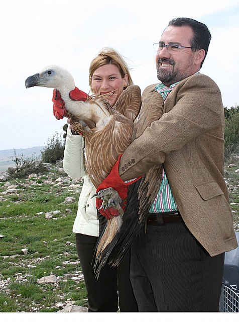 Liberan dos buitres leonados en la Sierra de Mojantes curados en el Centro de Recuperación de Fauna Silvestre, Foto 2