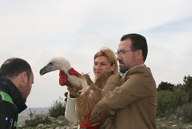 Patrimonio Natural suelta dos ejemplares de buitre leonado en la Sierra de Mojantes - 1, Foto 1