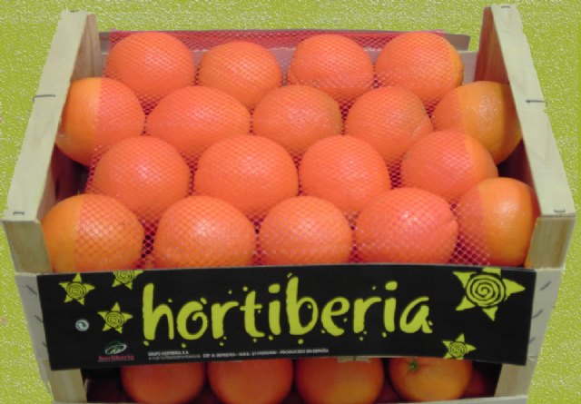 El Grupo Hortiberia apuesta por fortalecer su posicionamiento comercial en el mercado nacional - 1, Foto 1