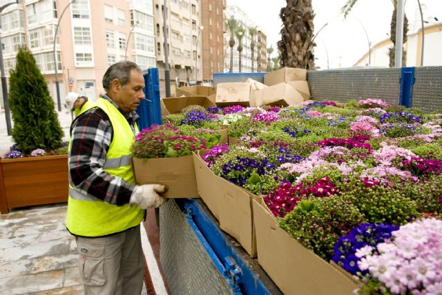 Más de 9.000 flores adornan los jardines del casco para Semana Santa - 1, Foto 1
