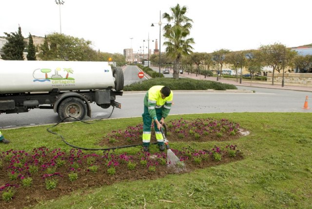 Más de 9.000 flores adornan los jardines del casco para Semana Santa - 2, Foto 2